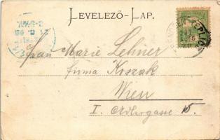 1902 Trencsénteplic, Trencianske Teplice; Wally, Hungária és Mon Plaisir nyaraló. Gansel Lipót 129. ...