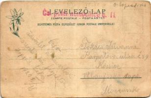 Trencsénteplic, Trencianske Teplice; katonai szanatórium. Steiner Samu kiadása / military sanatorium...