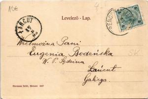 1905 Trencsénteplic, Trencianske Teplice; Wally, Hungaria és Mon Plaisir nyaralók / villas, spa (r)