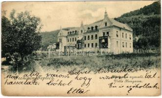 1900 Trencsénteplic, Trencianske Teplice; Hungária nyaraló / villa (r)