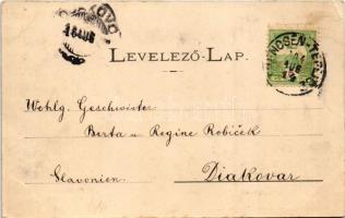 1904 Trencsénteplic, Trencianske Teplice; Göpfert villa. Wertheim Zsigmond kiadása / villa, spa (EK)