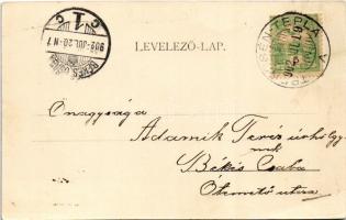 1902 Trencsénteplic, Trencianske Teplice; Göpfert és Baross nyaraló. Szold Henrik kiadása / villas (...