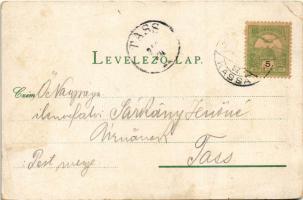 1902 Stószfürdő, Stoósz-fürdő, Kúpele Stós; Budapest és Dr. Czirfusz villa. Wlaszlovits Gusztáv kiad...