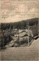 1917 Stószfürdő, Stoósz-fürdő, Kúpele Stós; látkép. Wlaszlovits Gusztáv kiadása / general view, spa, villa (EK)