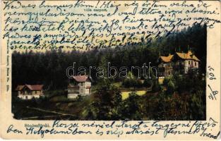 1905 Stószfürdő, Stoósz-fürdő, Kúpele Stós; Villacsoport. Wlaszlovits Gusztáv kiadása / villas, spa (szakadás / tear)