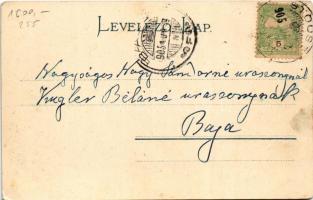 1905 Stószfürdő, Stoósz-fürdő, Kúpele Stós; Villacsoport. Wlaszlovits Gusztáv kiadása / villas, spa ...