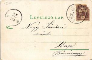 1901 Stószfürdő, Stoósz-fürdő, Kúpele Stós; nyaralók. Wlaszlovits Gusztáv kiadása / villas, spa (EB)