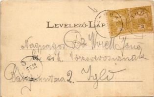 1901 Stószfürdő, Stoósz-fürdő, Kúpele Stós; nyaralók. Wlaszlovits Gusztáv kiadása / villas, spa (EK)