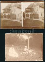cca 1905 Azonosítatlan kastély és kertje, 5 db fotó, közte 4 db sztereófotó, 14x9 cm