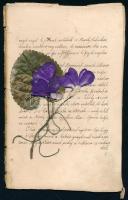 cca 1860 Júlia a balatoni szép halászleány. Verses próza 56 kézzel írt oldalon. Fűzve, borító nélkül...