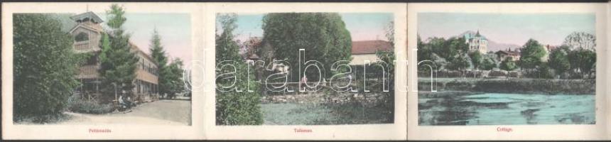 cca 1910 Rajecfürdő Felvidék (Rajecké Teplice, SK) 12 lapos képes leporello / Leporello with 12 imag...