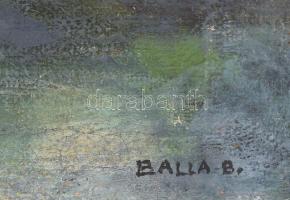 Balla B jelzéssel: Vízparti táj. Olaj, vászon, sérült. 44x56,5 cm