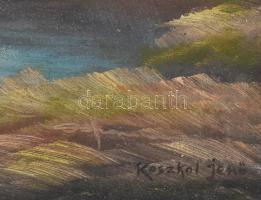 Koszkol Jenő jelzéssel: Vitorlás. Olaj, vászon, kartonra kasírozva. 39x67 cm