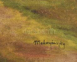 Mednyánszky jelzéssel: Vitorlás. Olaj, vászon. Javított. Dekoratív, sérült fakeretben. 60x80 cm