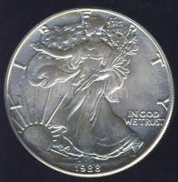 USA 1988. 1$ Ag 1oz. "Liberty" T:1