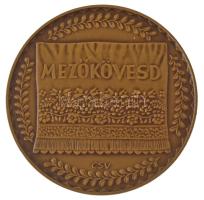 Csúcs Viktória (1934-) DN Mezőkövesd kétoldalas bronz emlékérem (60mm) T:AU