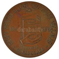 1970. Békés Megyei Állami Építőipari Vállalat - Békéscsaba egyoldalas, öntött bronz plakett (61mm) T:XF