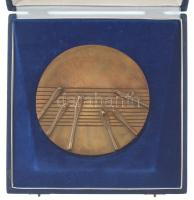 Janzer Frigyes (1939-) 1986. "Első Országos Rácz Aladár Cimbalom Verseny" kétoldalas bronz...