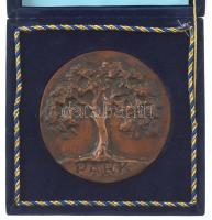 Nagy István János (1938- ) 2001. "Park" kétoldalas, öntött bronz kisplasztika, eredeti dís...