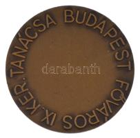 Dabóczi Mihály (1905-1980) DN "Budapest Főváros IX. Ker. Tanácsa" bronz emlékérem eredeti ...