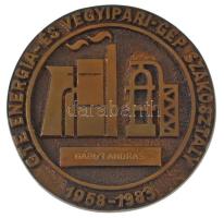 1983. GTE Energia és Vegyipari-Gép Szakosztály - 1958-1983 öntött bronz emlékérem eredeti tokban (78mm) T:AU