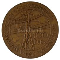 1988. "100 éves a magyarországi villamosenergia szolgáltatás - 1988 / Magyar Villamos Művek Trö...