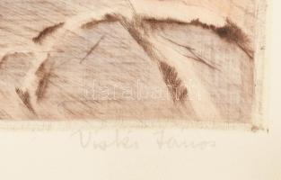 Viski János (1891-1961): Ügető huszárok. Színezett rézkarc, papír, jelzett, üvegezett fakeretben, 31...