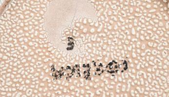 Német iparművész hólyagos mázas kerámia váza. . Kézzel festett, jelzett, hibátlan 20 cm