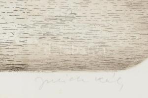 Jurida Károly (1935-2009): (Budai) vár. Rézkarc, papír, jelzett. Kissé foltos. Üvegezett fakeretben....