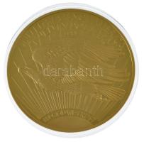 Amerikai Egyesült Államok DM "Twenty Dollars" aranyozott Cu emlékérem kapszulában (70mm) T...