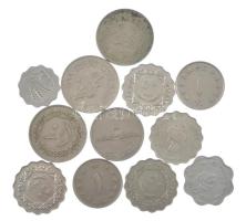 12db vegyes fémpénz főleg arab országokból T:vegyes 12pcs of mixed coins mostly from Arabian countries C:mixed