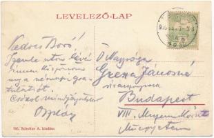 1905 Erzsébetváros, Dumbraveni; Római katolikus templom, piac a Fő téren, üzletek. Scholtes A. kiadá...