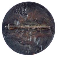 1954. "Dunai árvízvédelemért" bronz jelvény (37mm) T:AU