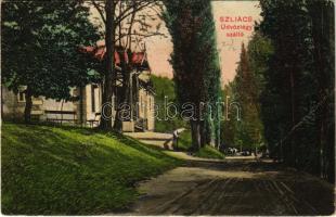 1910 Szliács, Sliac; Üdvözlégy szálloda / hotel, spa (ázott / wet damage)