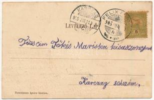 1905 Félixfürdő, Baile Felix; fürdő Nagyvárad mellett, vasútállomás. Rosenbaum Ignác kiadása / spa n...