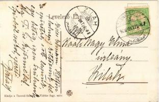 1908 Tasnádszántó. Tasnád-Szántó, Santau (Szatmár); úrilak, Govrik kúria, kastély / castle