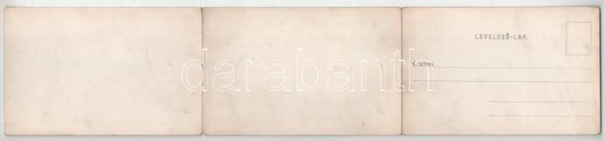 Szeged, látkép. Divald Károly kiadása. 3-részes kihajtható panorámalap (hajtásnál szakadt / torn at ...