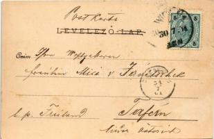 1901 Esztergom, "Iris" oldalkerekes gőzös Esztergomnál a Dunán / "Donaufahrten" ...