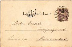 1900 Szarvaskő, várrom. Kiss József fényképész kiadása (kis szakadás / small tear)