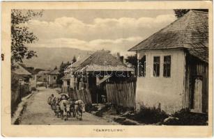 Campulung, oxen cart on the street