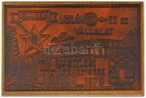 1979. Volán 12. sz. Vállalat siklósi üzemegysége - Élüzem bronz lemezplakett fa posztamensen (187x126mm) T:AU