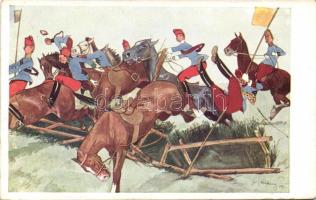 Military s: Schönpflug