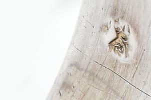 Szalvétagyűrű Ezüst (Ag), jelzett, 5,5 cm 29,35 g