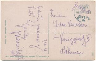 1917 Budapest, látkép a Ferenc József híddal, gyárak. Vasúti levelezőlapárusítás 1917. (EK)