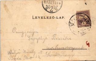 1901 Győr, Újváros, híd, zsinagóga. Nitsmann József kiadása (b)