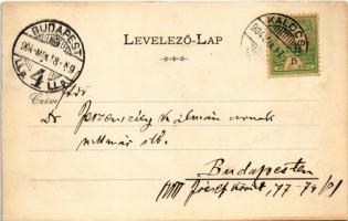 1904 Kalocsa, Főszékesegyház. Art Nouveau, floral (EK)