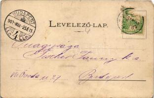 1902 Heves, Németh-féle kastély, Római katolikus iskola, Városháza, M. kir. posta. Adler József kiad...