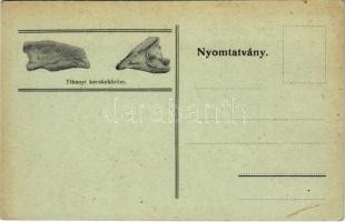 Tihany, A kecskeköröm regéje (EK)