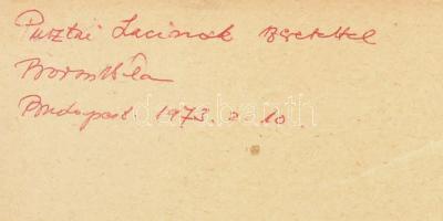 1972 Borsos Béla: Hamisított régiségek. Aláírt példány. Különlenyomat 10p