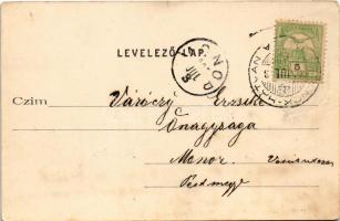 1905 Jászberény, Margitszigeti mulató. Brünauer Adolf kiadása (fl)